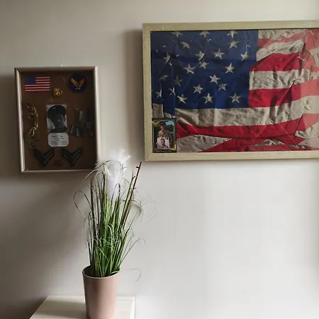 Toute Histoire * Commes