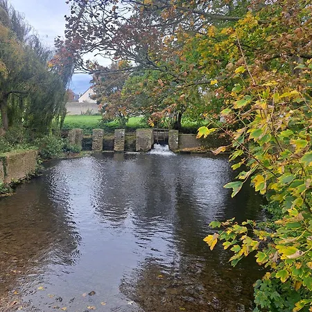 Toute Histoire * Commes