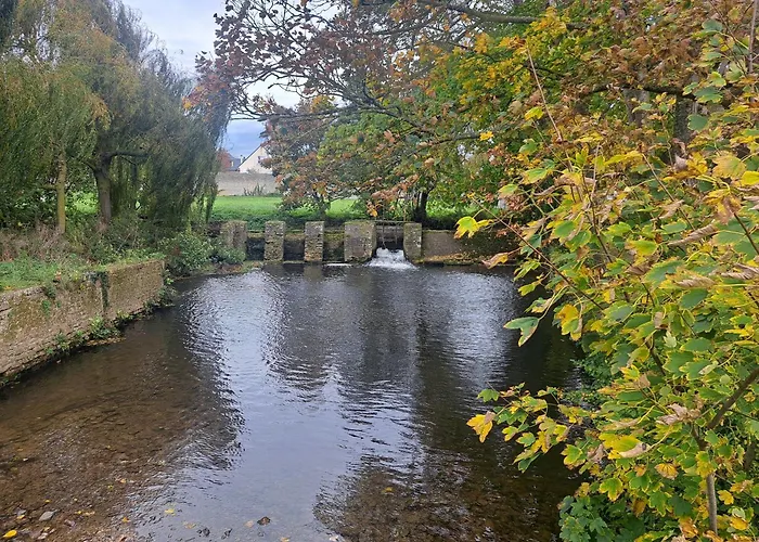 Toute Histoire * Commes